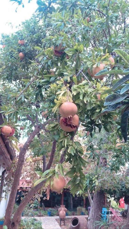 Privatunterkunft Sakli Konak Karaburun