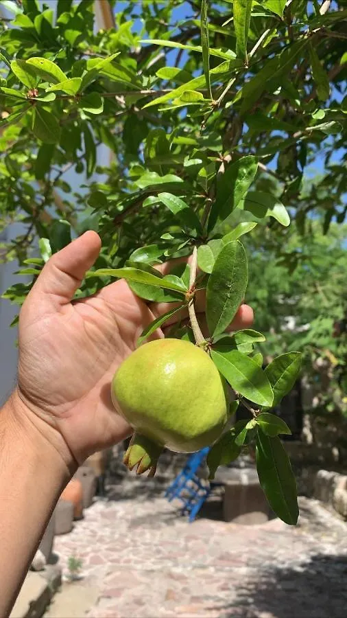 Sakli Konak Karaburun  0*, Karaburun (Izmir)