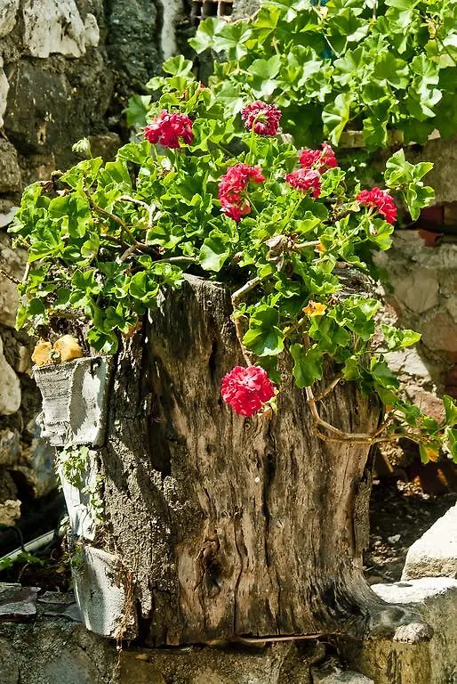 Kwatera prywatna Sakli Konak Karaburun